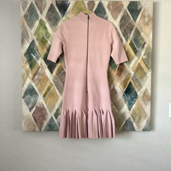 Ted Baker Canddy Dress Bodycon with pleated skirt - Picture 6 of 6